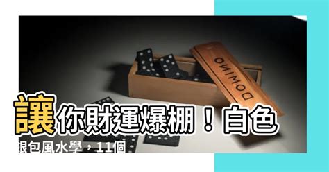 白色銀包 風水|銀包風水學｜11個增強財運免漏財的禁忌 想財政穩健推薦用這色